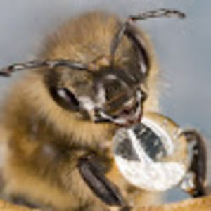 Meet your Posher, Isabelle